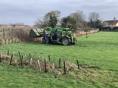 Hedge Planting